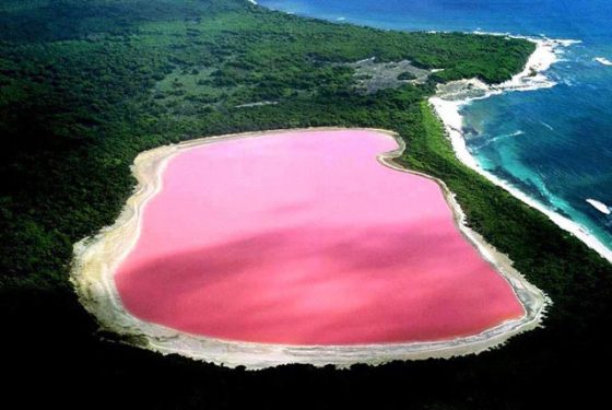 Os 8 lagos cor de rosa que existem no mundo